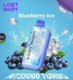 LOST MARY MT35000 Blueberry Ice 5%
